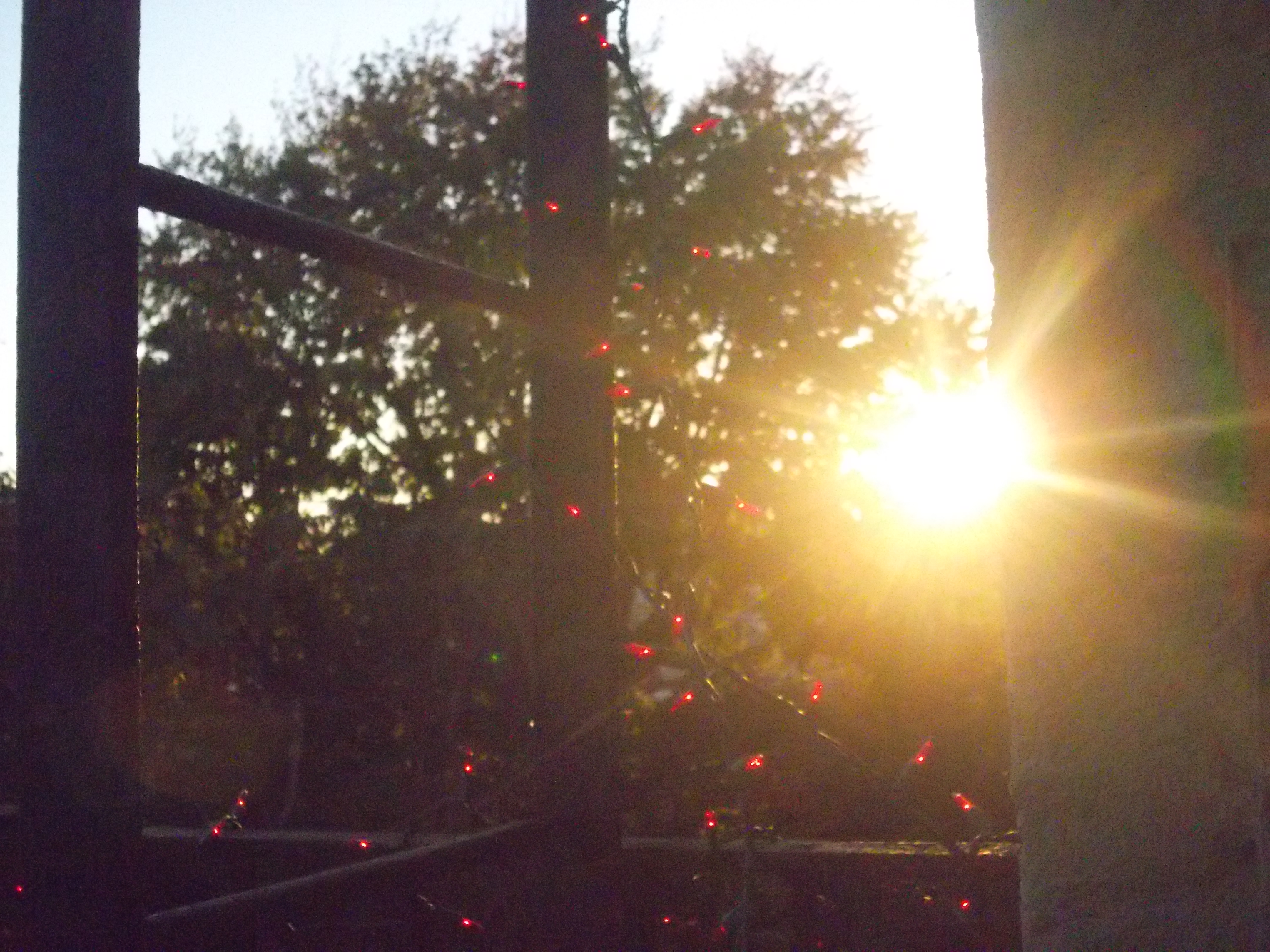 image of the sunset off of fire escape, framed by ladder and red string lights